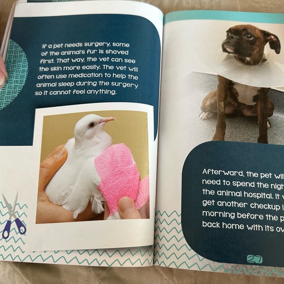 A visit to the vet- scholastic - Picture 6 of 7